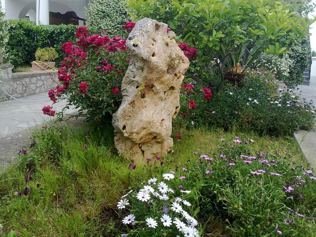 Il Merlo Anacapri  Exterior foto