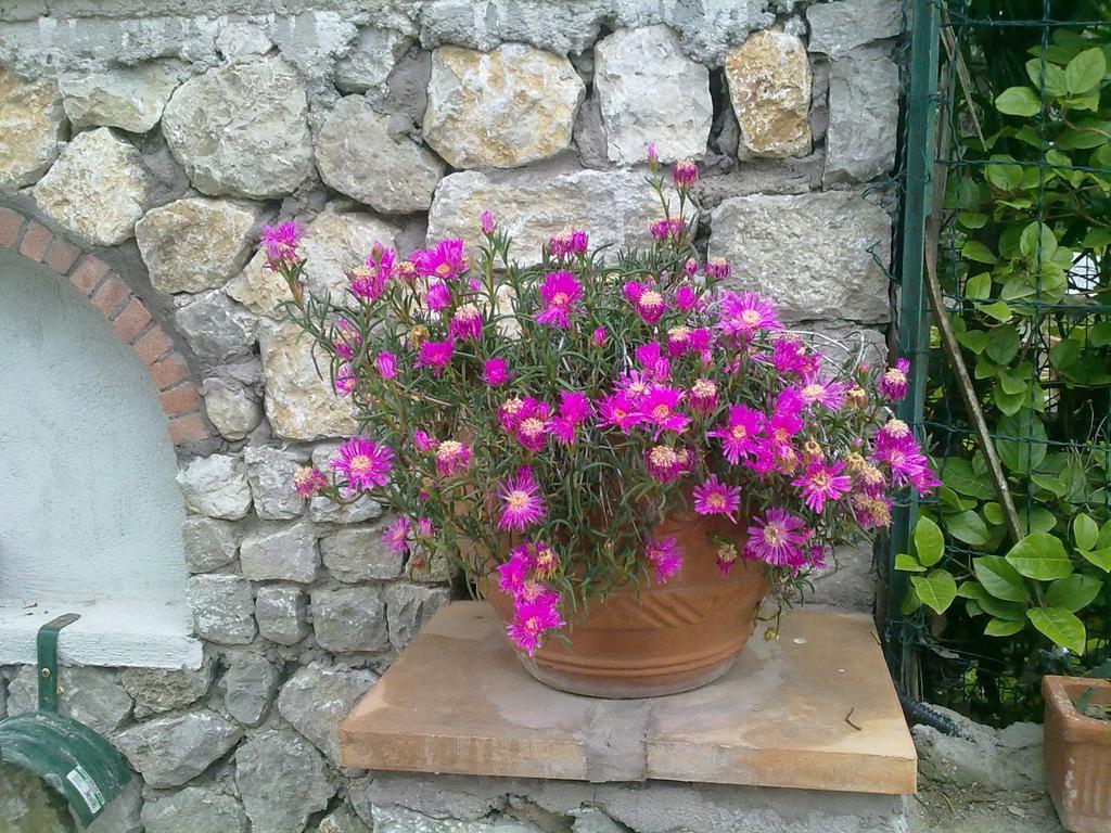 Il Merlo Anacapri  Exterior foto