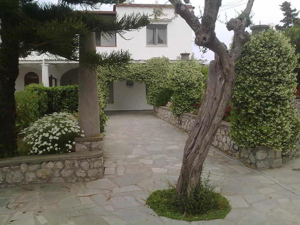Il Merlo Anacapri  Exterior foto