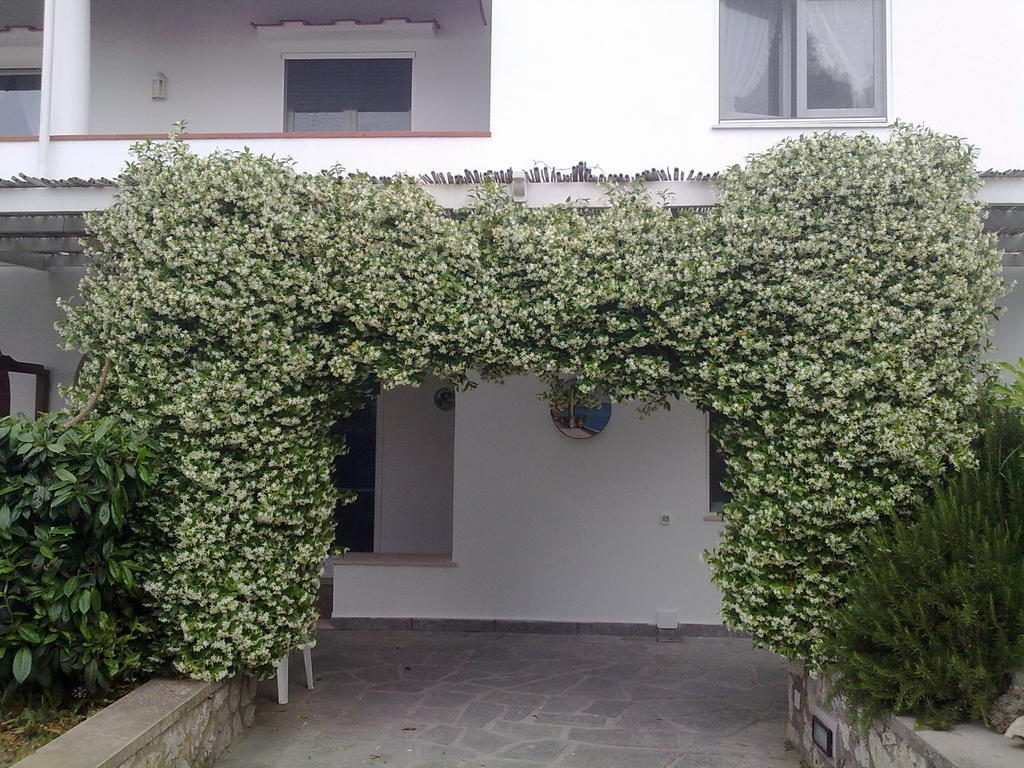 Il Merlo Anacapri  Exterior foto